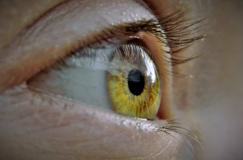 Temporal Scanner Glasses